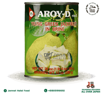 Aroy-D Young Green Jack Fruit (540g)