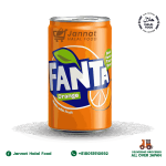 Fanta Orange (100ml)