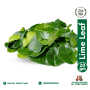 Lime Leaf (20g)