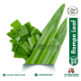 Rampe Leaf (100g)