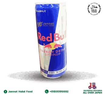 Red Bull Energy Drink (250ml)