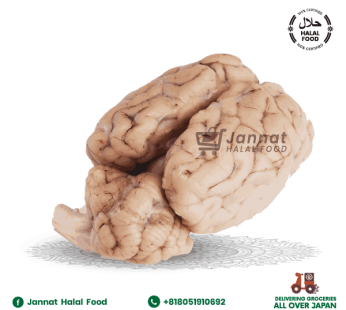 Sheep Brain (1kg)