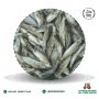 Tengra Fish (800g)