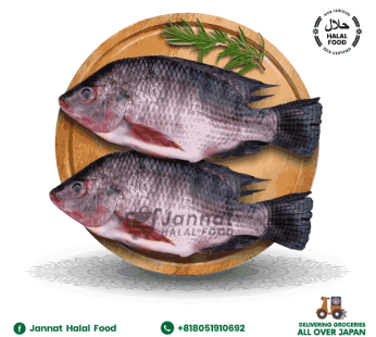 Tilapia Fish 1pic (400-600g)