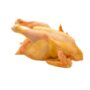 Hard Chicken Whole (1pc)
