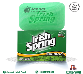 Irish Spring Original Deodorant Soap (113g)