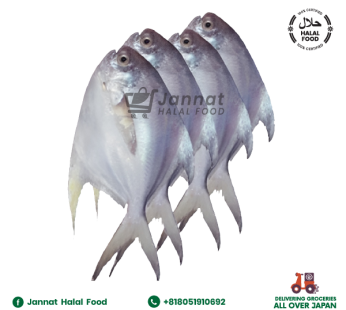 Rupchanda Fish (800gm)