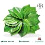 Betal/Pan Leafs 80-100g