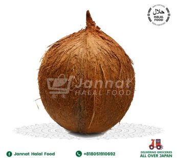 Dry Coconut 1 Pic India