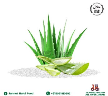 Aloe Vera 2Pic (1Kg)