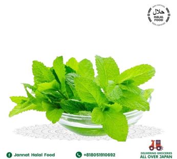 Basil Leaves /tulshi pata ( 100g )