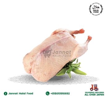 Duck Whole (1.6kg-1.8kg)