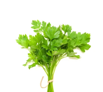 Coriander Leaf 100g