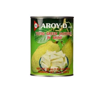 Aroy-D Young Green Jack Fruit (540g)