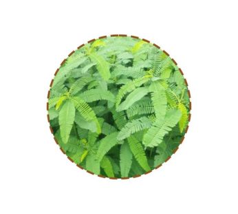 Dhaincha Leaves ( 100g )