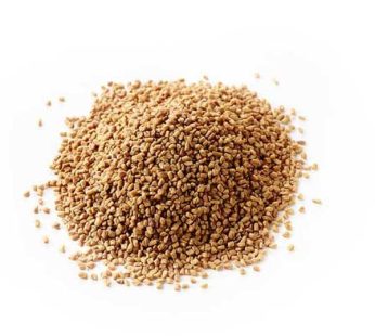 FENUGREEK SEED 95g