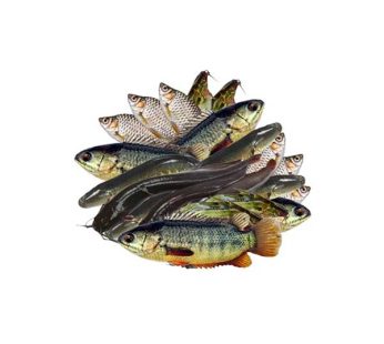 Frozen Mix Fish (Bangladesh) (250gm)