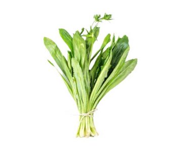 Long Coriander Leaves (Bilati Dhonia Pata) ( 100g )