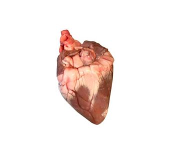 Sheep Heart (500gm)